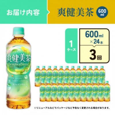 ふるさと納税 えびの市 【毎月定期便】爽健美茶 PET 600ml×24本(1ケース)(えびの市)全3回 |  | 01