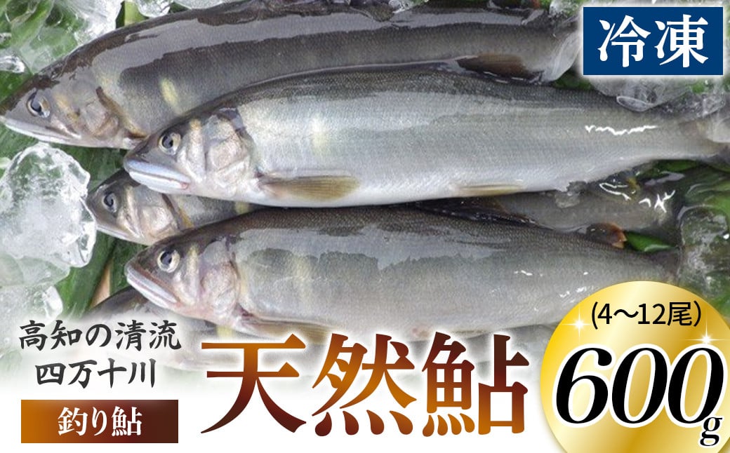 
            四万十川上流の天然鮎　釣り鮎【冷凍 4～12尾】Esj-40k あゆ アユ 魚 魚介 川魚 塩焼き 鮎 天然 個包装 600g  小分け
          
