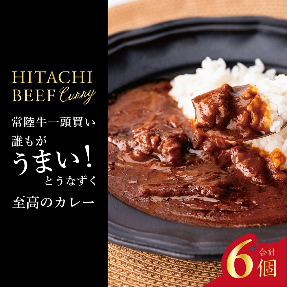 【ふるさと納税】常陸牛100％カレー 200g×6個｜カレー レトルトカレー 常陸牛 人気 簡単 茨城県 行方市(AP-13)