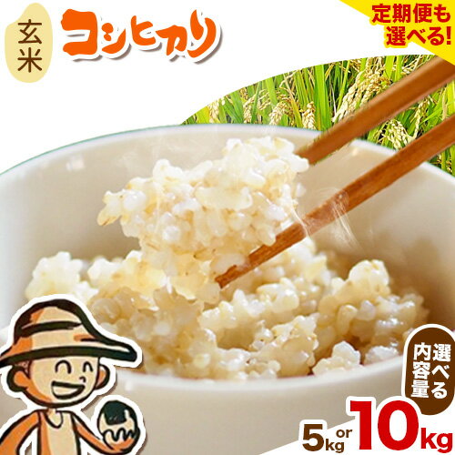 【ふるさと納税】米 コシヒカリ 新川耕地・減農薬コシヒカリ 玄米 5kg 10kg 有限会社山崎清八商店 千葉県 流山市 新川耕地 単発 定期便 送料無料