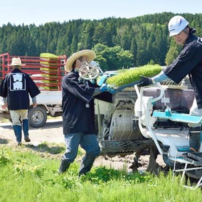 ふるさと納税 関川村 R7年産 新潟県岩船産 コシヒカリ玄米30kg　米食味鑑定士が厳選吟味した1等米 [青南総合農園] |  | 02