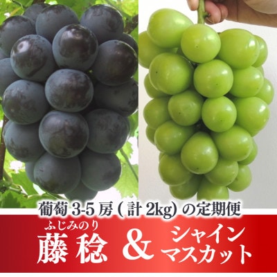 【発送月固定定期便】【2026年先行予約】藤稔とシャインマスカット各2kg入の定期便(岡山産)全2回【配送不可地域：離島】【4068046】