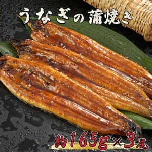 うなぎ 鰻 蒲焼 約 165g × 3尾 減塩 醤油 ベース 蒲焼きのタレ 付き 養殖 高知県 須崎市（ うなぎ 鰻 ウナギ 蒲焼き うなぎ料理 うなぎグルメ うなぎ好き 須崎産うなぎ 高知県産うなぎ 蒲焼 うなぎ 蒲焼 ウナギ）