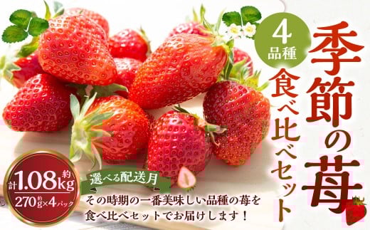 よかもんいちご ４品種食べ比べセット 2026年4月発送 いちご イチゴ 苺 4種 フルーツ 果物 贈答 贈り物 ギフト 令和7年 九州 福岡 うきは市