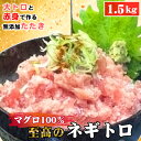 【ふるさと納税】No.492 至高のネギトロ1.5kg 大トロと赤身で作る無添加たたき マグロ100％ ／ まぐろ 鮪 食べ応え 食べごたえ 口どけ こだわり 海鮮 ネギトロ丼 送料無料 愛知県