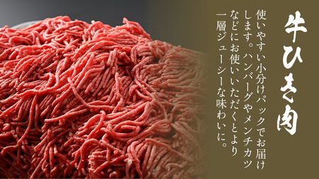 【 常陸牛 】 3ヶ月連続定期便！藤井商店で人気のお肉を毎月１品お届け (茨城県共通返礼品)  国産黒毛和牛 黒毛和牛 国産 国産牛 和牛 牛肉 お肉 お肉 肉 牛 専門店 ひたち牛 ブランド牛 A4