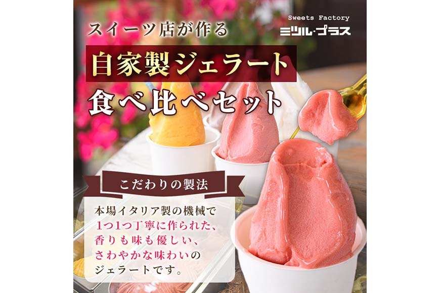 【I-2】＜先行予約受付中！2026年7月から順次発送予定＞自家製こだわり製法！自家製ジェラート(9個)【ミツル・プラス】