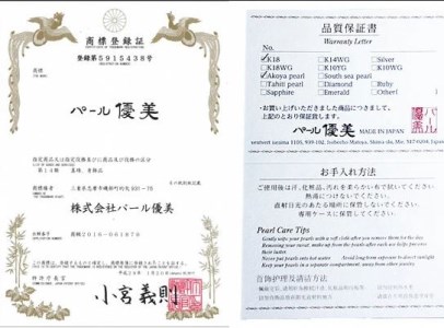 志摩産アコヤ真珠　4-5ミリ　天然色　ナチュラルブルー　数粒ラインピアス　K14WG
