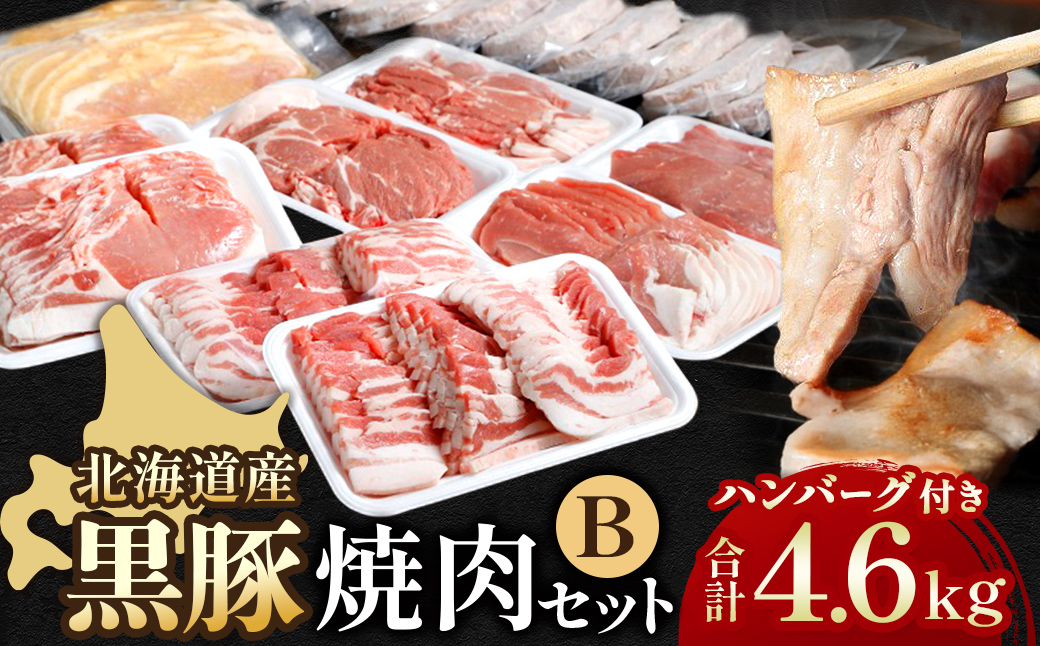北海道 黒豚焼肉Bセット計4600g・ハンバーグ10個・味噌漬け350g付 ロース 肩ロース バラ モモ ハンバーグ 冷凍 小分け 黒豚 豚肉 お肉 肉味 噌漬け みそ漬け