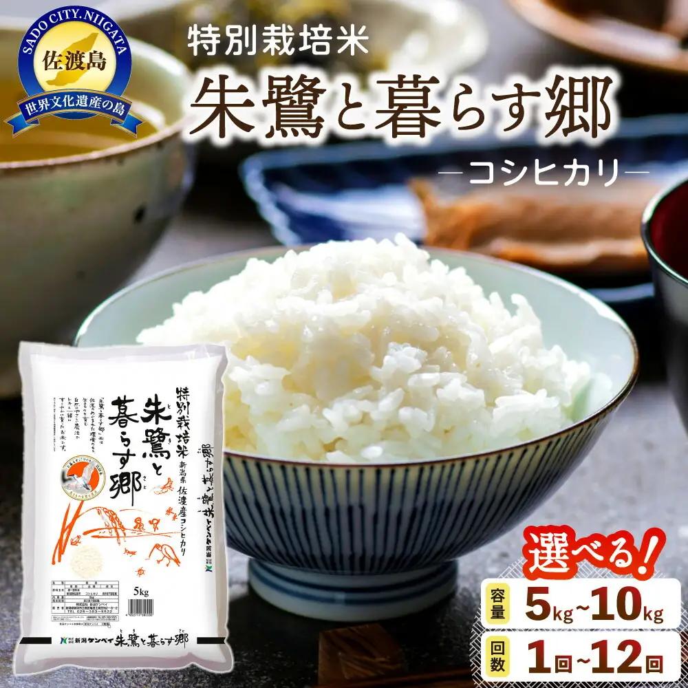 コシヒカリ 5kg 朱鷺と暮らす郷 | 新潟県 佐渡市