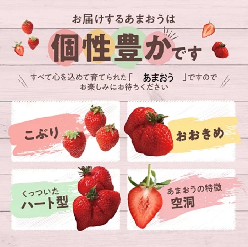 人気１位獲得謝礼品★限定品★あまおう約５４０g（先行受付／２０２７年２月以降発送）.ZH205【あまおう】