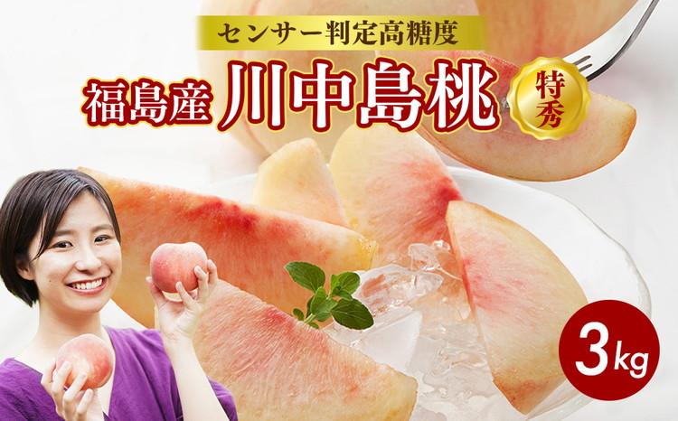 透過式光センサー川中島白桃 特秀3kg相当 9玉～11玉＜ ふくしま未来農業協同組合 ＞ | ふくしま 桃 福島 もも 国見 モモ ※2026年8月～発送