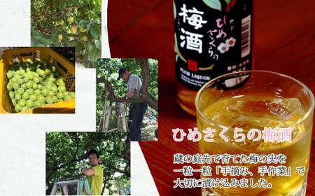 「愛あるリキュール」梅酒500ml×2種セット ひめさくらの梅酒・にごり梅酒 愛媛県産梅使用 【愛媛 近藤酒造】