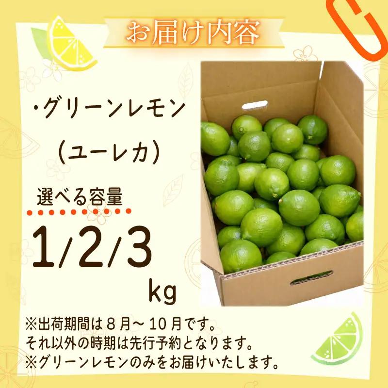  【期間限定 農林水産大臣賞】国産グリーンレモン  1kg 檸檬
