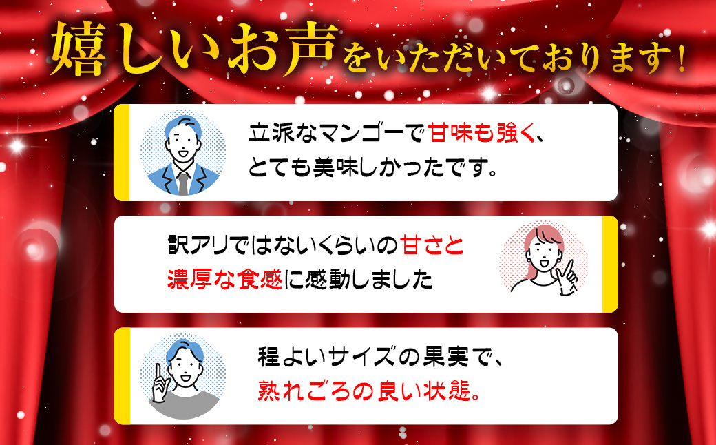 【先行予約】「訳あり」ご家庭用完熟マンゴー2kg（4玉～8玉）宮崎県西都市産＜2-95＞2026年発送 果物 くだもの フルーツ 宮崎県西都市