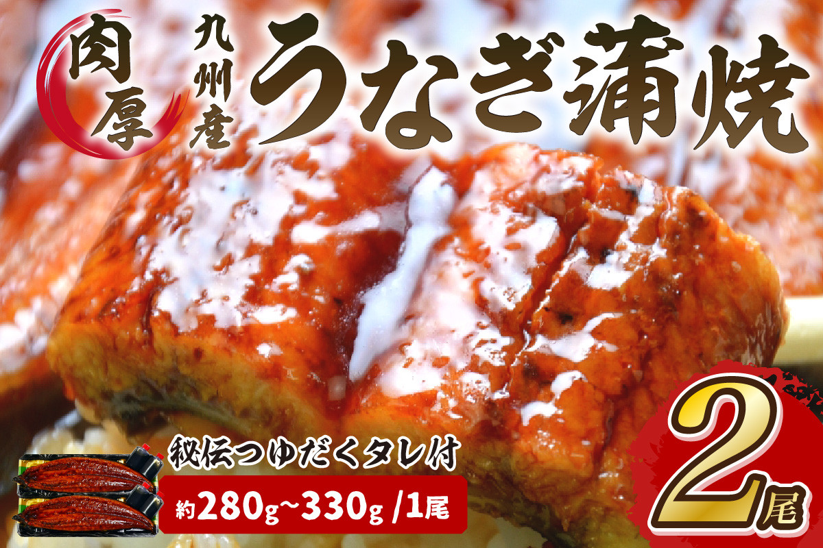 
                  肉厚九州産うなぎ蒲焼2尾つゆだくタレ付 中間老舗鮮魚店秘伝の味【001-0017】
                