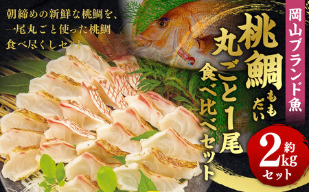 岡山ブランド魚 桃鯛 桃鯛の丸ごと1尾食べ比べセット 桃鯛約2kgセット（炙り 背腹部（片身分）×1セット 鍋しゃぶ用切り身  背腹部（片身分）×1セット  1尾分桃鯛あら（尾頭付）×1 桃鯛から作った鯛スープ約800g×2袋） 久米南産特製ポン酢180g付 食べ方リーフ付 冷凍 岡山県倉敷市
