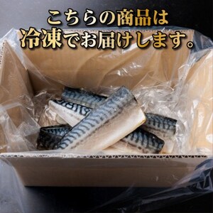 【訳あり】ノルウェー産　塩さば　フィレ　約1kg【配送不可地域：離島】【1694188】