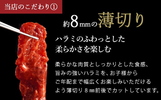 【6回定期便】やわらか 牛ハラミ（サガリ）肉 極旨秘伝醤油タレ漬け（300g×6袋）訳あり ハラミ 牛肉 個包装 焼肉 GS-608