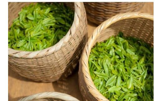 深蒸し 茶 セット 茶 農園 直送 牧之原 お茶 茶 冷茶 煎茶 緑茶 水出し 茶葉 ティーバッグ 深むし ギフト 贈答用 プレゼント お中元 ご褒美 贅沢 高級 国産 tea ティー 萩埜園 牧之原