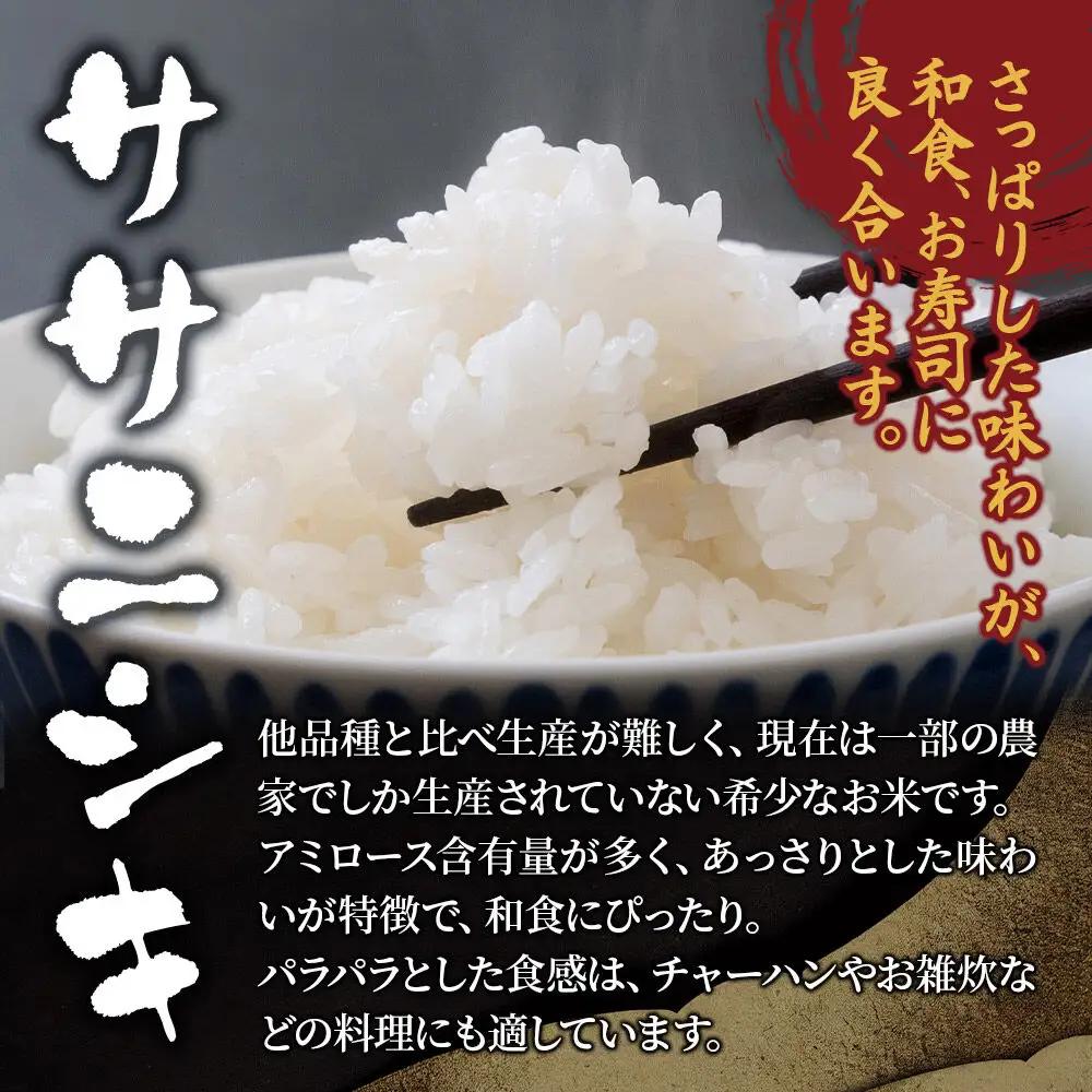 《定期便6ヶ月》【令和7年産・玄米】宮城県産 ササニシキ 毎月5kg (5kg×1袋)×6ヶ月