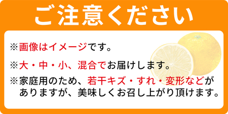 ＜西予の美味しい柑橘セレクト（ご家庭用）／おまかせ柑橘セット（小）約2～2.5kg＞ 果物 くだもの フルーツ 蜜柑 みかん ミカン 柑橘 ご家庭用 温州みかん 食べて応援 国産 愛媛県産 特産品 西