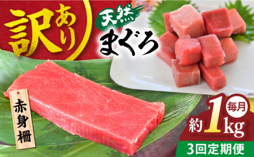 【全3回定期便】【訳あり】天然 まぐろ 赤身（約1kg） わけあり ワケあり 鮪 マグロ 魚 刺身 まぐろ あかみ 横須賀【本まぐろ直売所】 [AKAK056]