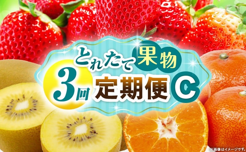 
            とれたて果物 3回定期便C 果物 フルーツ 果物定期便 フルーツ定期便 定期便 いちご キウイみかん 濃厚 旬の果物 定期 人気 おすすめ 贈答 贈り物 青果物 糖度 香川県 _mk165-t067
          