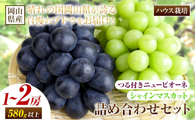 
                  【先行予約】 岡山県産 つる付き ニューピオーネ & シャインマスカット 晴王 セット ハウス栽培 内容量が選べる 有限会社ホーティカルチャー神島《2026年7月上旬-8月上旬頃出荷》岡山県 浅口市 ぶどう 詰め合わせ【配送不可地域あり】
                
