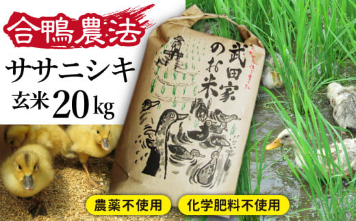 
《令和５年度産》武田家のお米 ササニシキ（玄米）20kg＜合鴨農法＞【米農家 仁左ェ門】 / 米 ５キロ ４袋 アイガモ
