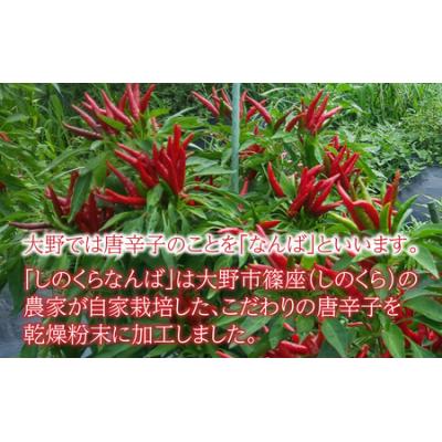 ふるさと納税 大野市 【道の駅人気商品】しのくらなんば3本セット |  | 01