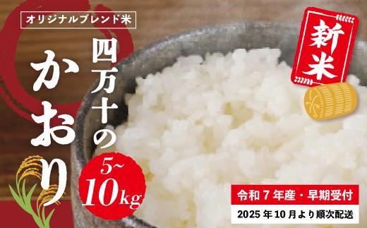 
            米 5～10kg 【 新米 令和7年産 】コシヒカリ 香り米 ヒエリ 入り 四万十のかおり 国産 こしひかり 早期受付 ブレンド 精米 白米 ごはん おいしい ふっくら もちもち 高知県 四万十市 四万十 しまんと 土佐 【2025年10月より順次配送】
          
