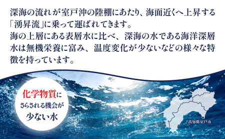 深海のバスセット　A