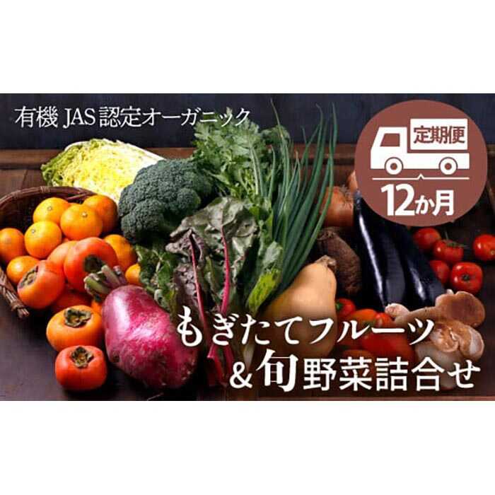 【ふるさと納税】【全12回定期便】 野菜セット × フルーツセット | 人気 おすすめ ランキング おいしい 果物 12ヶ月 大洲市/ヒロファミリーフーズ [AGBX008] 300000 30万円 以下