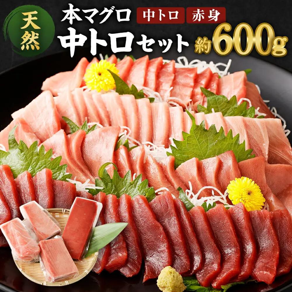 天然マグロ 2種 約600g 【まぐろ】ge005 FN-Limited-PR