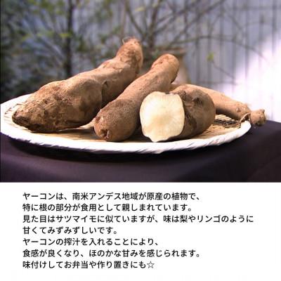 ふるさと納税 土庄町 つるぷり手延べ麺 小豆島手延べヤーコン麺12人前(6袋) |  | 03