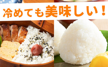 令和7年産れんげ米10kg《30日以内に出荷予定(土日祝除く)》茨城県結城市こめ