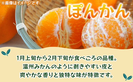 ＜ぽんかん 約10kg＞ 果物 フルーツ みかん ミカン 蜜柑 オレンジ 柑橘 椪柑 ポンカン 食べて応援 特産品 JA えひめ南農業協同組合 愛媛県 西予市【常温】『2025年1月～2月迄に順次出荷