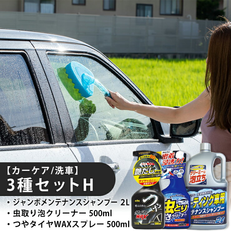 【ふるさと納税】【カーケア／洗車】3種セットH　【掃除】車【洗車】 自動車 水垢 大容量 【カーケア】【大掃除】掃除 グッズ 日用品 洗車用品 洗剤 車用洗剤 汚れ落とし 本体 大 生活用品 液体洗剤 家族 家庭 消耗品 まとめ買い 詰め合わせ セット
