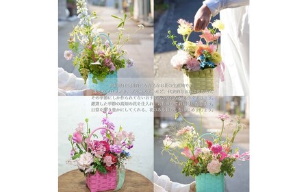 【3回定期便】季節の生花カラーバスケットフラワーS / お花 フラワー ミニサイズ アレンジメント カラーバスケット おしゃれ インテリア 省スペース プチギフト おまかせ 手作り 雑貨 季節の便り 