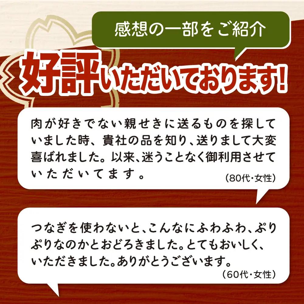 極上 揚げかまぼこ 梅セット (大×4個 小×11個) 貴千 かまぼこ