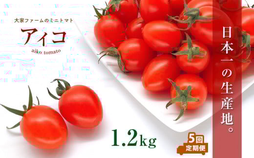 【定期5回】『大家ファーム』のミニトマト アイコ 1.2kg×5回 ｜ 野菜 やさい とまと トマト ミニトマト アイコ 定期便 5回 熊本県 玉名市