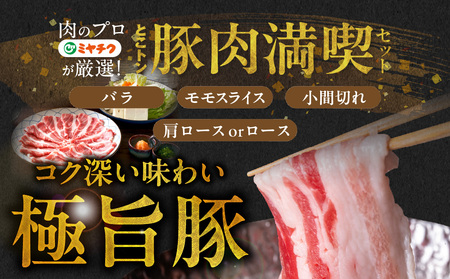【敬老の日】宮崎県産豚肉たっぷり4.2kgセット≪9月11日～15日お届け≫_AC-N202-KG_(都城市) 豚肉 バラスライス 肩ロース ローススライス モモスライス 小間切れ 総重量4.2kg