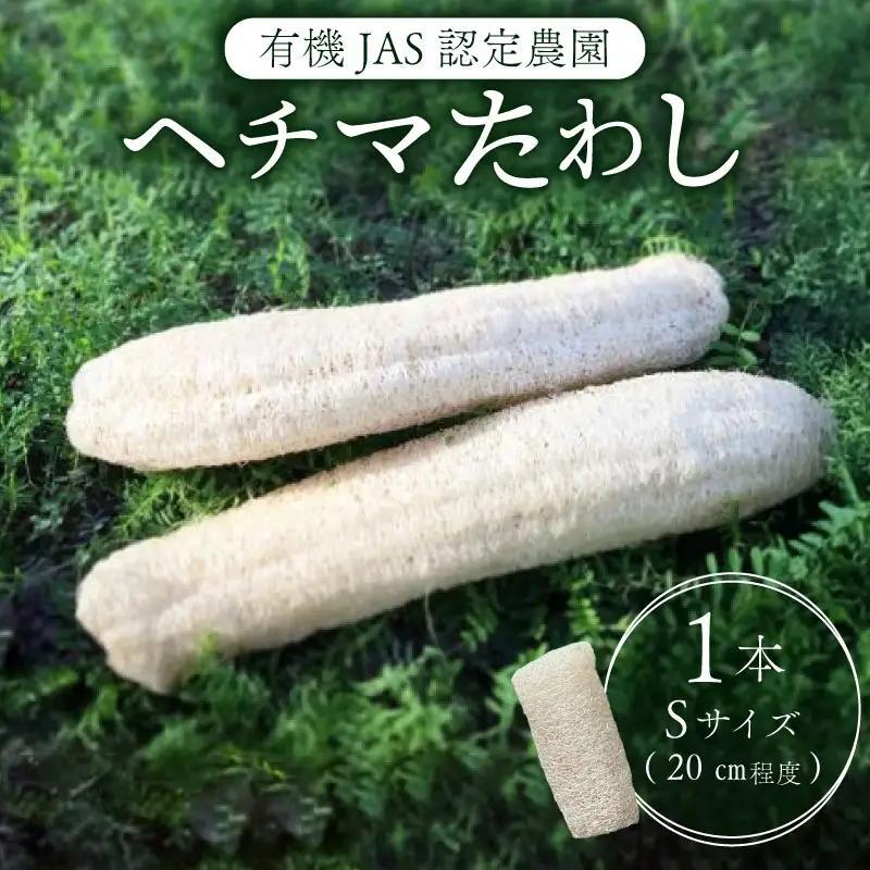 ヘチマたわし (Sサイズ) 未漂白 たわし ボディスポンジ 有機JAS認定農園