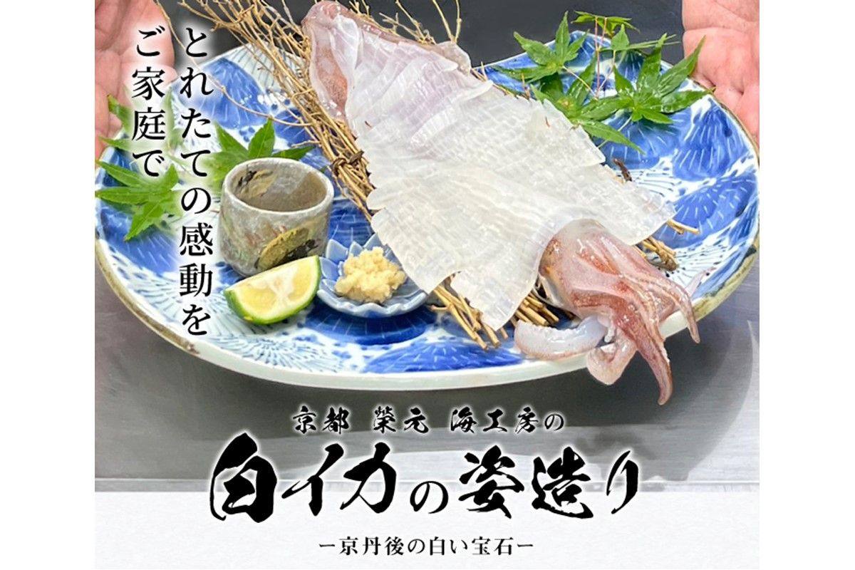 京都　榮元　海工房の京白イカの姿造り　EK00001