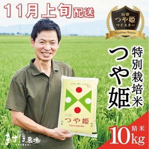 SE0405　11月上旬配送／令和7年産【精米】つや姫マイスターが作った 特別栽培米『つや姫』10kg(5kg×2袋)［減農薬・減化学肥料］ MA