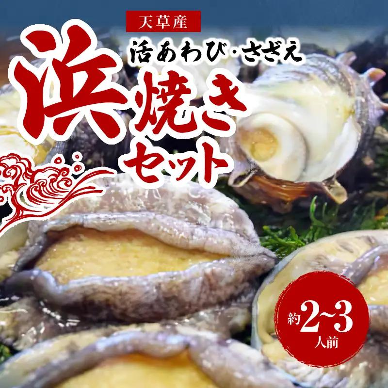 S002-017A_天草産 活あわび・さざえ　浜焼きセット　　約2～3人前