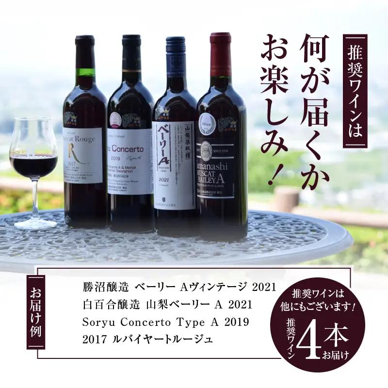ワイン 勝沼ぶどうの丘推奨赤ワイン4本セット（KBO） D-604