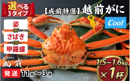 【先行予約】選べる！美味しさ直送【成前特選】越前かに（1.5kg～1.6kg）×1杯【11月～3月発送】姿 [Q-028031_06]