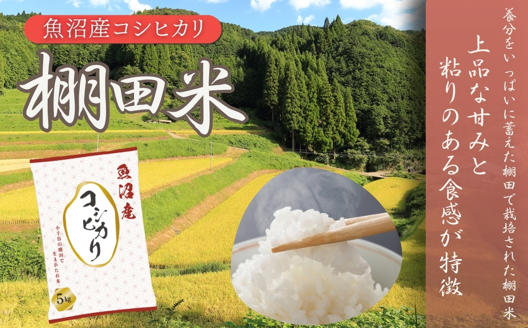 令和7年産 魚沼産コシヒカリ 棚田米 おぢや米 食べ比べ10kg(5kg2袋) | 新潟県産 コシヒカリ お米 米 こしひかり おこめ こめ コメ 白米 精米 魚沼産 ブランド米【0002-0400-